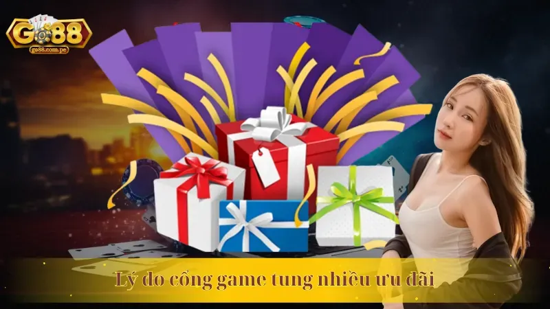 Hình ảnh chương trình VIP với các đặc quyền độc quyền